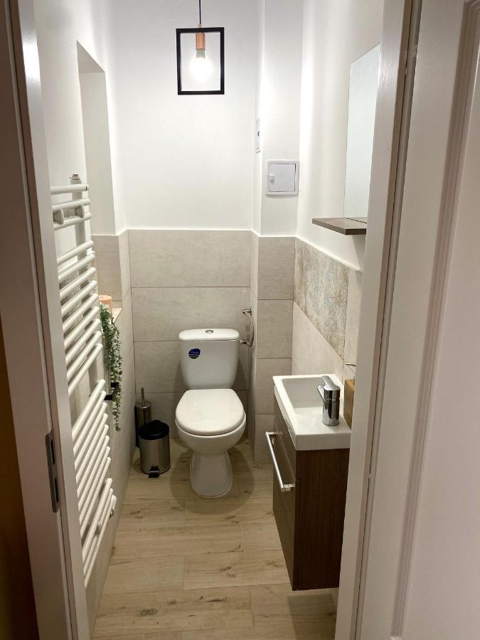 Asha Central Apartment Тимишоара Екстериор снимка